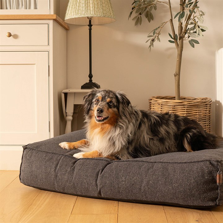 Fantail Mattress Stargaze Origin Epic Grey Dog Bed